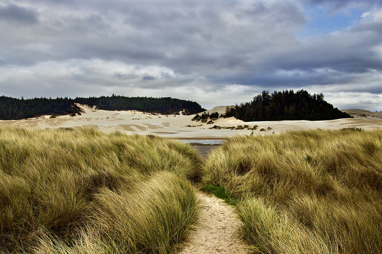 Sand dunes at Umpqua Beach in the Oregon Dunes National Recreation Area